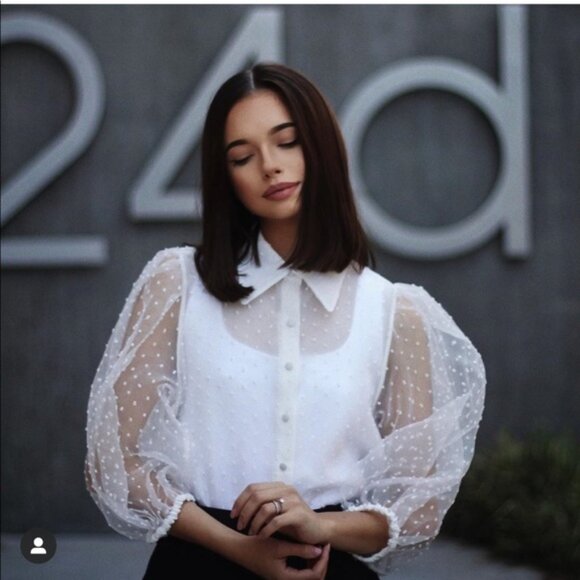 Zara Swiss Dot Organza Puff Sleeve Blouse - Picture 5 of 16